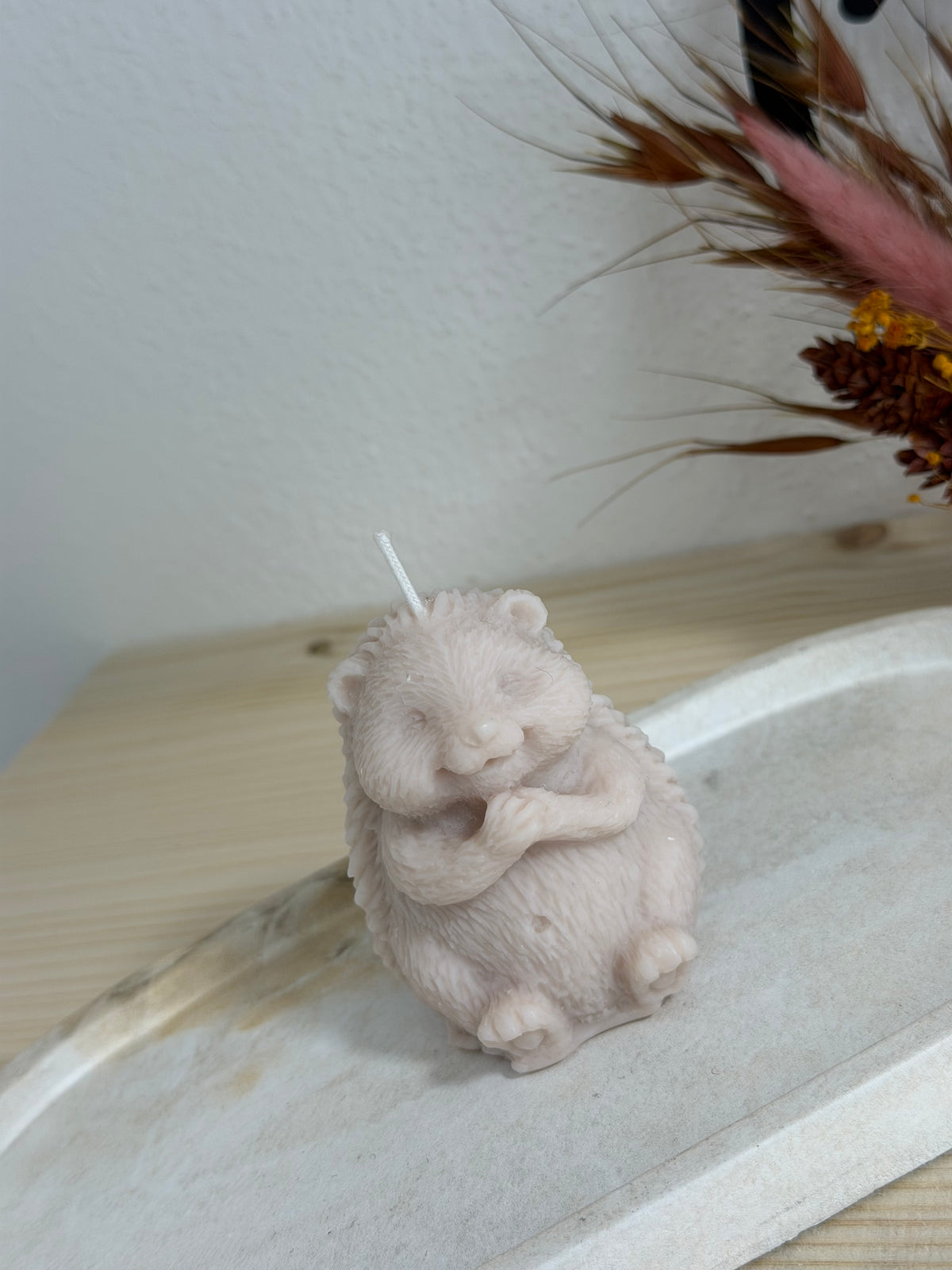 Little Hedgehog